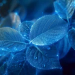 data foundation: How to build a Solid Data Foundation